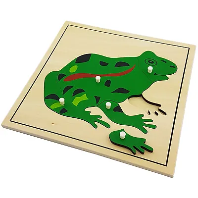 Frog Puzzle - MONTESSORI BIOLOGY / ZOOLOGY MATERIALS • $6.54