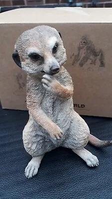 £5 • Buy Country Artists Meerkat Baby Sitting