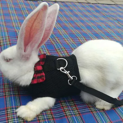 Pet Clothing Rabbit Chinchilla Bow Chest Strap Traction Rope Pet Leash Bowknot • $5.33