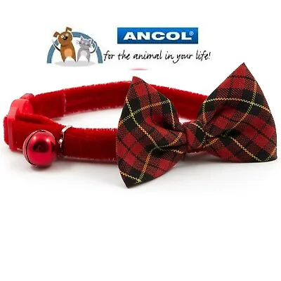 Ancol Cat / Kitten Luxury Vintage Bow Collar With Safety Buckle & Warning Bell  • £5.99
