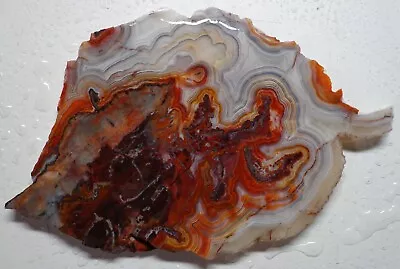 WRG- Mexican Crazy Lace Agate Slab 92 Grams Mexico Lapidary Plume Moss • $11.99