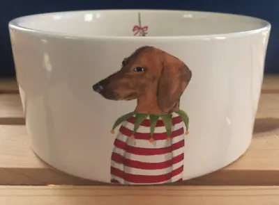 Rae Dunn~Dachshund Mistletoe Christmas~6  Pet Food/Water Bowl~New • $24.99