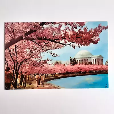 Thomas Jefferson Memorial Washington D.C. USA Vintage Postcard Unposted • £3.99