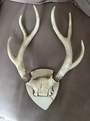 Zara Home Resin Deer Antlers Wall Mounted Decoration • £4.99