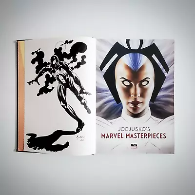 SPIDER-MAN Sketch Original Art By JOE JUSKO - 2016 Marvel Masterpieces IDW Book • $1499.99