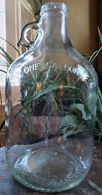 One Gallon Clear Glass Jug Carboy With Finger Loop No Lid Beer Wine Mead Making • $30