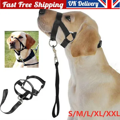 Halti Head Collar Dog Training Obedience Stop Pulling On Lead No Pull Solution • £5.77