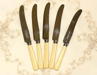 FIVE QUALITY FAUX BONE HANDLED DINNER KNIVES Joseph Rodger & Sons Cutlers To HRH • $75