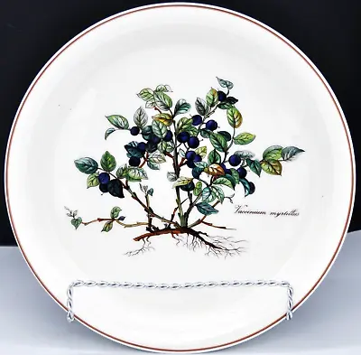 Villeroy & Boch Luxembourg Vilbofour Botanica 8.7/8   Quiche Pie Dish Bilberry • $49.94