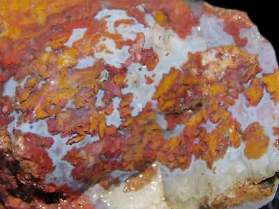 San Carlos Flowergarden Plume Agate Lapidary Cabbing Rough Chunk Mexico 6.75 Oz • $15