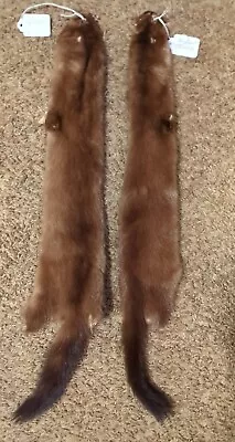 Wild Female Minks Fresh Tanned Hide Super Soft  Leather Craft Pelt Fur Nice  • $19