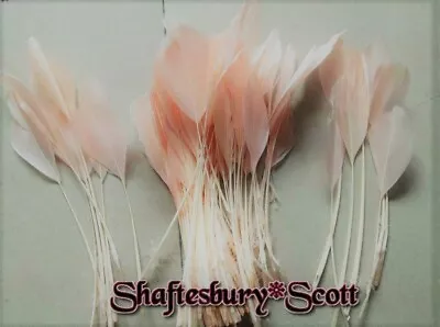 LONG BLUSH DYED COUPE  FEATHERS X 10 Pcs.Fascinators Millinery  Arts & Crafts. • £4.99