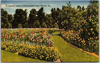 Macon Georgia GA Colorful Corner Of Baconsfield Park Flowers Vintage Postcard • $8.05