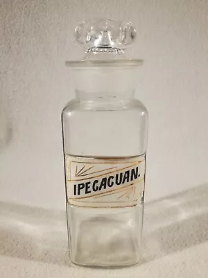 Antique Apothecary Lug Jar Label Under Glass Pharmacy Bottle ~ 8.25   Ipecacuan • $47.95