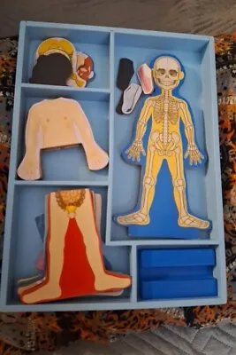 Melissa And Doug Body Puzzles • $10