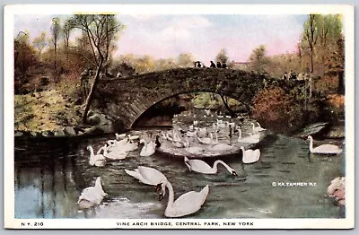 Vtg New York City NY Central Park Vine Arch Bridge Swans 1920s View Postcard • $3.99