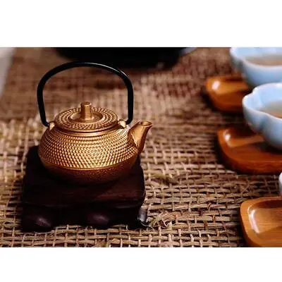 1 Piece Cast Iron Japanese Tetsubin Tea Kettle Small Metal Teapot • £13.52