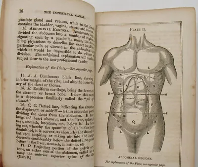 1856 Injections Enemas Constipation Cure Vagina Illustrated Antique Medical Book • $99.99