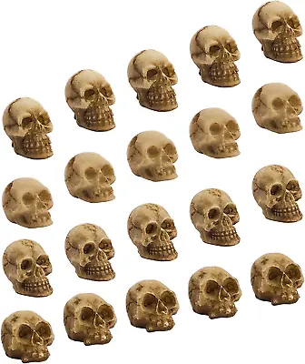 Mini Skull Figurines Halloween Skeleton Head Miniature Skulls Plastics Micro Lan • $11.75