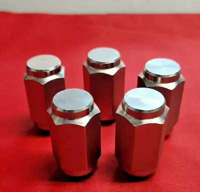 Solid 304 Stainless Steel 1/2-20 Acorn Lug Nuts For Trailer Wheel Rim (lot Of 5) • $23.97