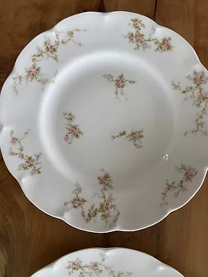 Vintage Set Of 2 Theodore Haviland Limoges Porcelain 9 3/4” Dinner Plate French • $35