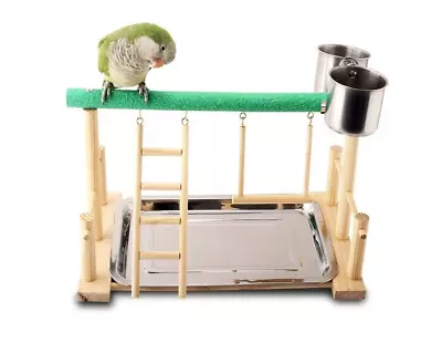 Wooden Parrot Play Stand Gym Training Rack Desktop Playpen With Ladder • $32.99