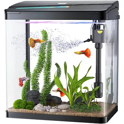 Fish Tank 3 Gallon Glass Aquarium 3 In 1 Fish Tank With Filter And Light D... • $82.40