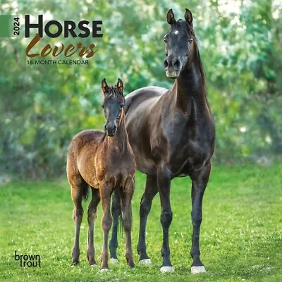 Horse Lovers | 2024 7x14  Monthly Mini Wall Calendar • $8.99