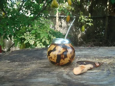 Argentina Mate Gourd Straw Cup Gourd Yerba Mate Bombilla  Drinking Kit - • $22