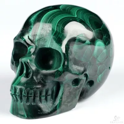 Gemstone 2.0  Malachite Hand Carved Crystal Skull Realistic Crystal Healing • $26