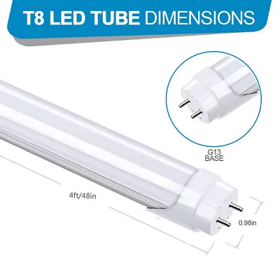 T-8 4ft T10 T12 G13 Type B Fluorescent Bulbs 25 50 100 Pack 4'led Tubes Daylight • $461.99