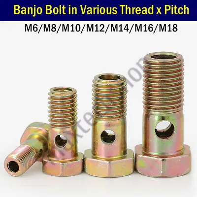 Banjo Bolt M6/M8/M10/M12/M14/M16/M18 Metric Thread BSPP BSP G Brake Fitting Fuel • $2.18