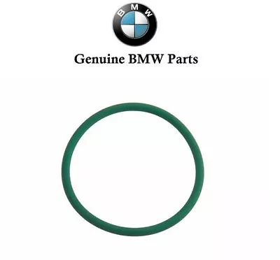 Genuine BMW E39 E46 Z3 M52 O-Ring For Intake Manifold Adjusting Unit DISA Valve • $30.98