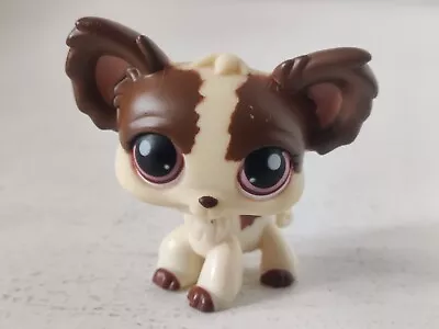 Hasbro LPS Littlest Pet Shop Cream Brown Chihuahua #385 Authentic Free Shipping  • £9.99