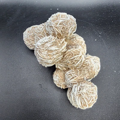 $22.50 • Buy Gorgeous Desert Rose