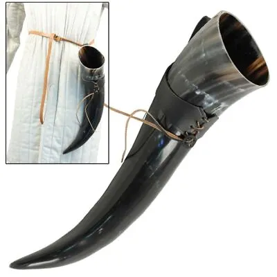 Medieval Viking XL Size Drinking Horn Bovine + Free Black Leather Belt Frog • $46.99