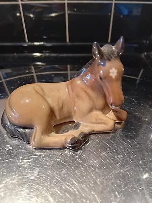 BARGAIN PERFECT Beswick 1998 Ltd Ed. Of 1500  Another Star  Dartmoor Pony Foal • £65