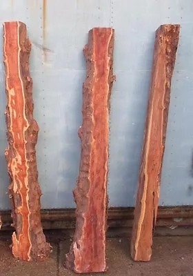 £185 • Buy Solid YEW Waney Edged Beams Or Thick Planks Various Sizes Listed 9 X4  & 6 X6 