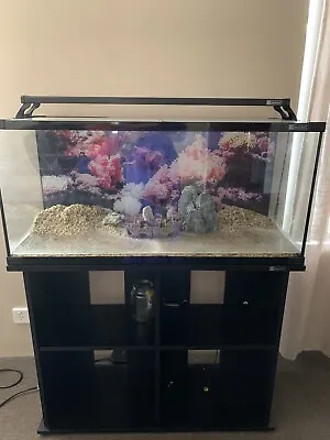$450 • Buy Aqua One 130 Liter Fish Tank Kit With Stand
