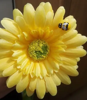  Single YELLOW + Bee Gerbera Daisy Car Dash Flower For VW Beetle Bug Vase + GIFT • £7.96