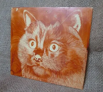 Vintage Animals Collectibles CAT Plastic Plaque Picture USSR Soviet Decor • $27.50