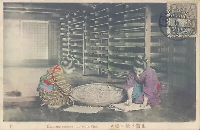 JAPAN NAGASAKI Maturing Cocoons Into Butterflies 1910s PC • $13.99