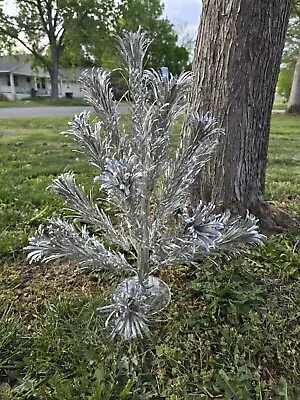 Vintage Aluminum Evergleam Christmas Pom Pom Tree 2 Ft Original Box! • $225