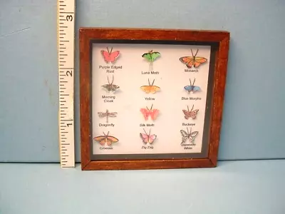 Miniature Framed Butterfly Display Case Terry Harville Handcrafted 1/12th • $30