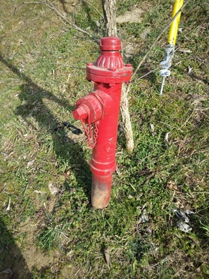 $350 • Buy Vintage Eclipse # 2 Fire Hydrant