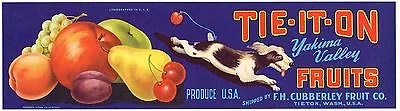 Original Strip C1940 Old Fruit Crate Label Vintage Tie It On Tieton Terrier Dog  • $5.95