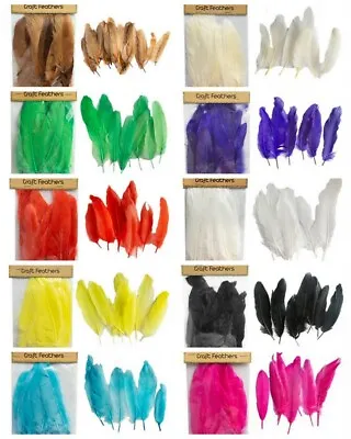 50x Feathers DIY Craft Feather Party Event Wedding Dream Catcher Costume 14-17cm • $3.69
