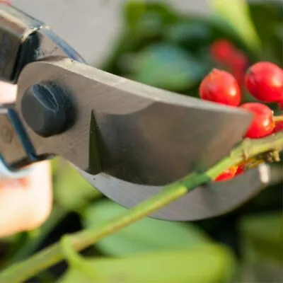 8  Pruning Shears Garden Secateurs Pruner Scissors Hand Plants Cutter Tool UK • £7.08