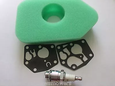 £14.99 • Buy Hayter Harrier Mower Tune Up Kit Diaphragm, Air Filter Spark Plug, Our Type  A 