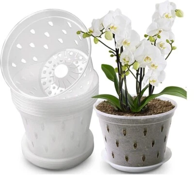 And Trays Flowerpot Plant Pots Orchid Pot For Phalaenopsis Orchid Planting • $12.98